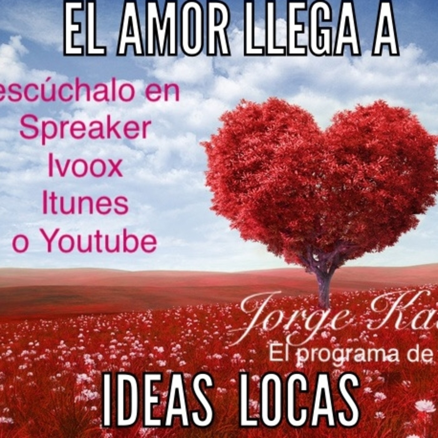 IDEAS LOCAS