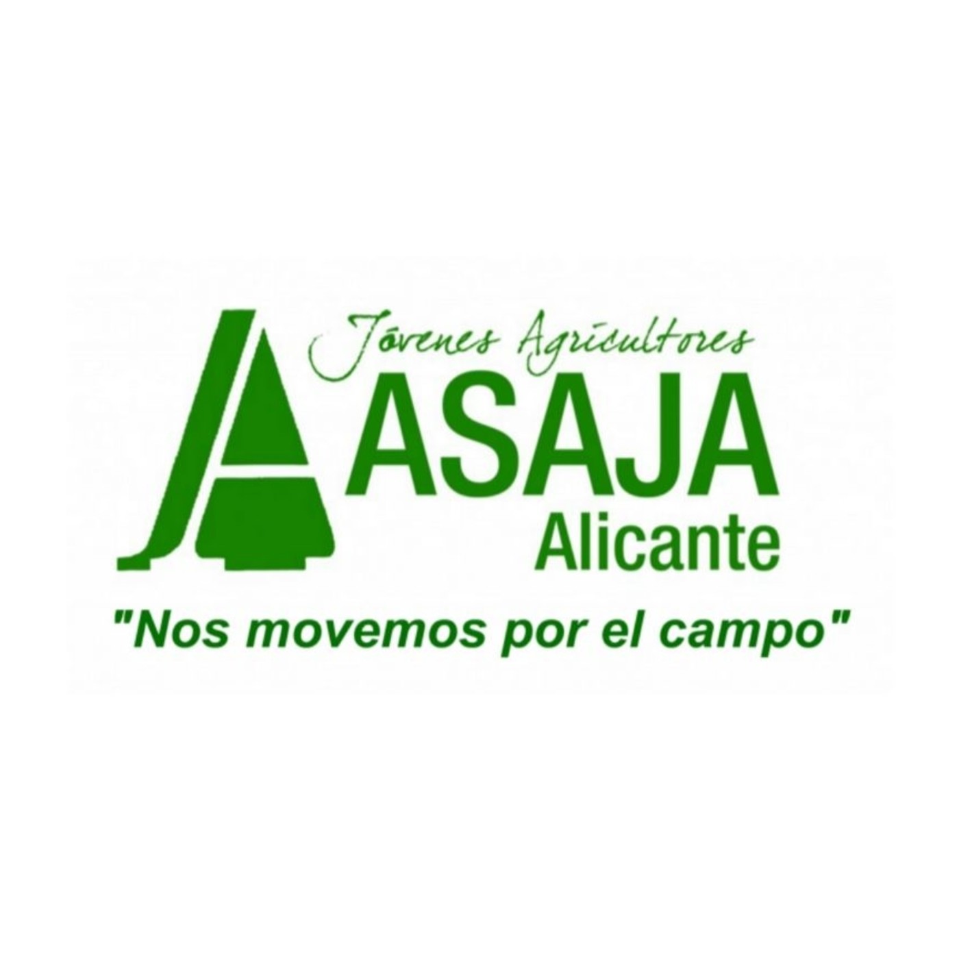 El Campo 4.0