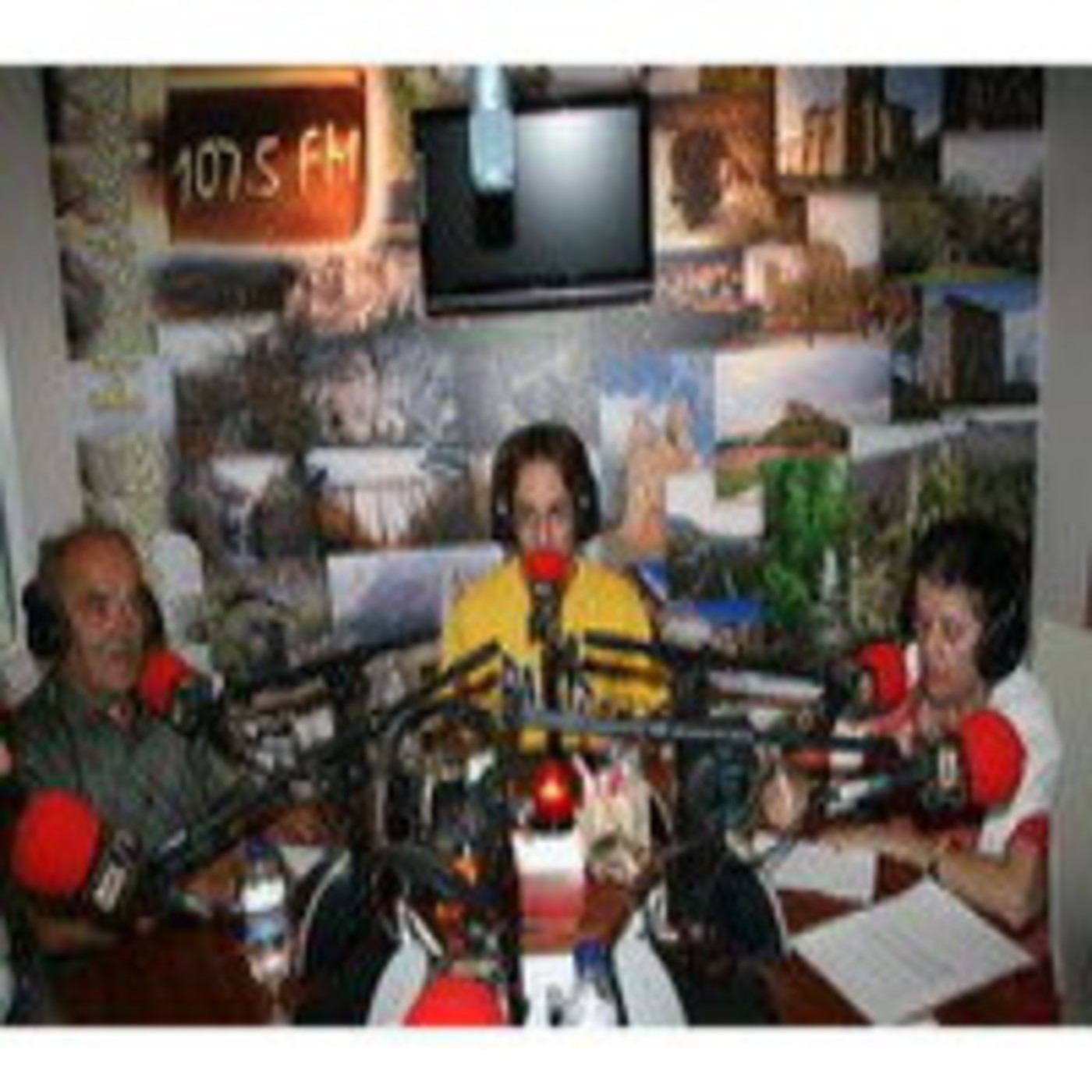 Huellas en el Tiempo. Román el Carbonero de Cogullos. episode artwork