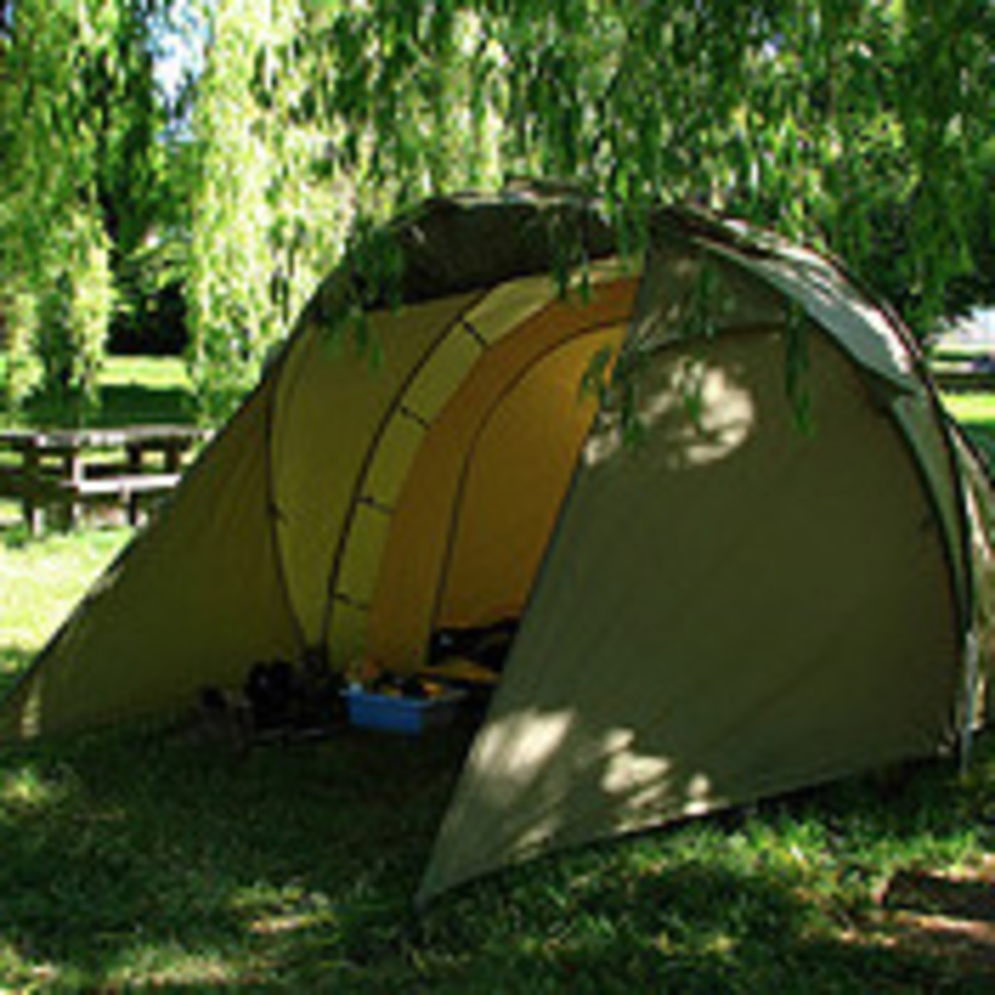 TRIBUTO A PETER CARTER