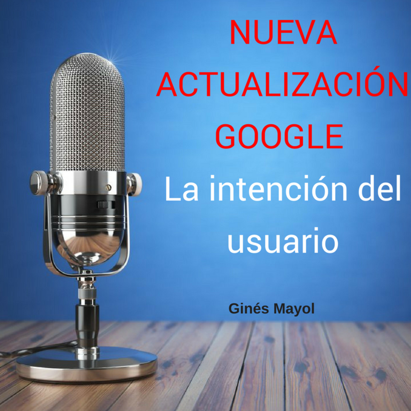 Gines Mayol - SEO