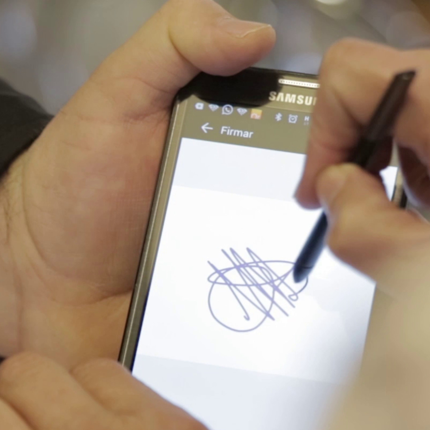 STEL Order - Español