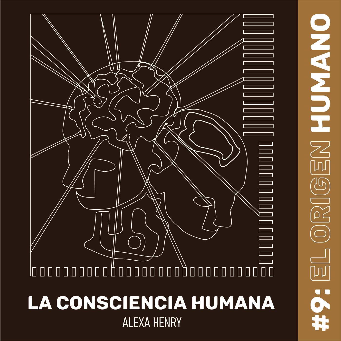 LA CONSCIENCIA HUMANA