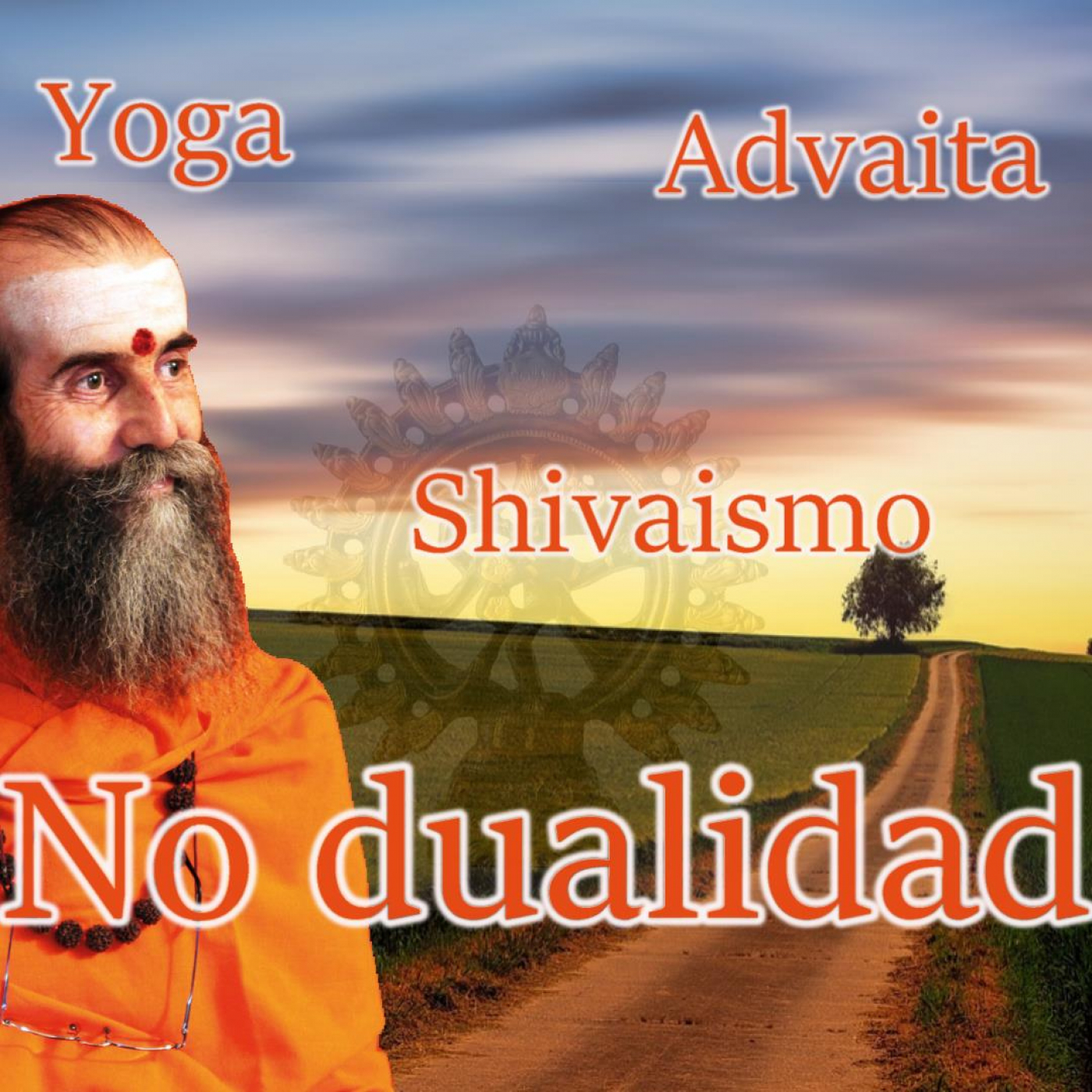 Conversamos sobre NO DUALIDAD con Swami Satyananda Saraswati (doblado al castellano)