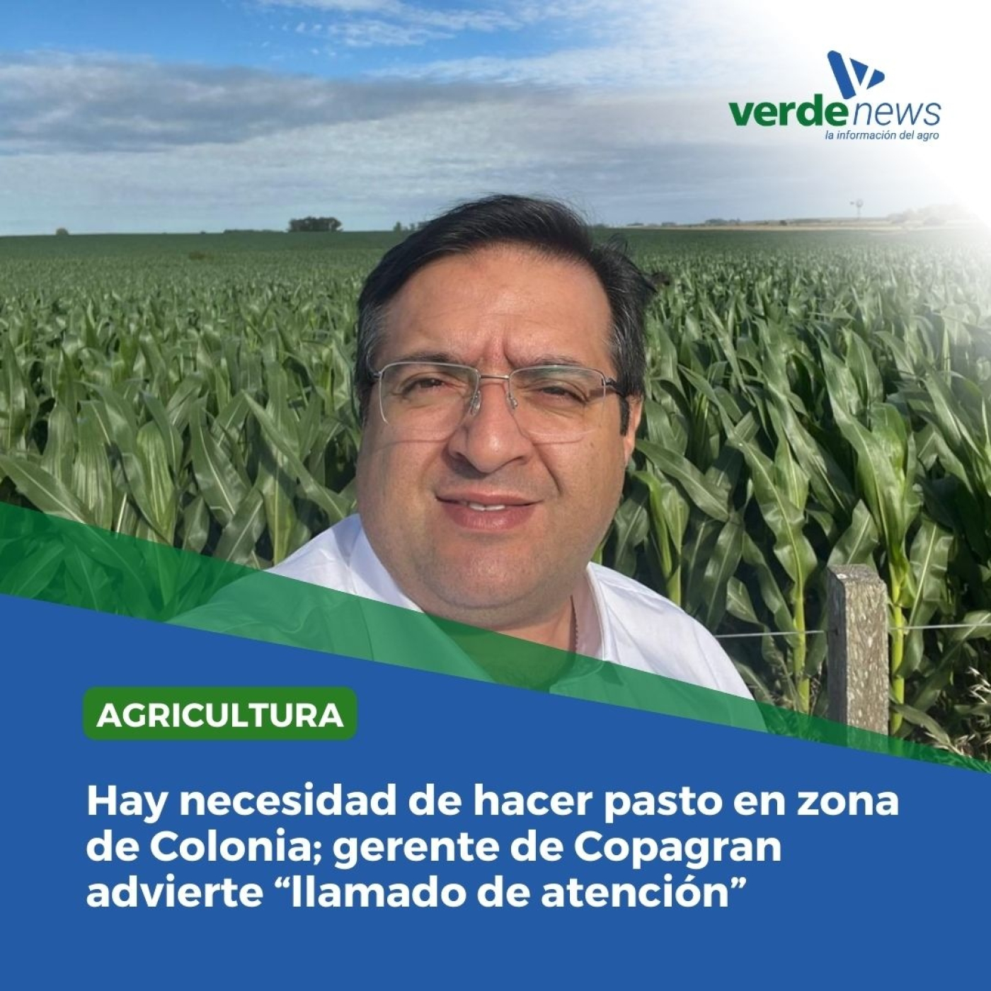 verdemedia