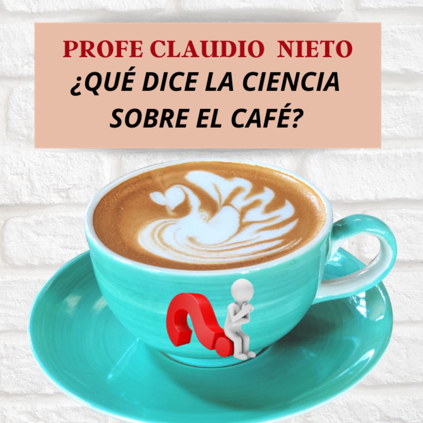PROFE CLAUDIO NIETO