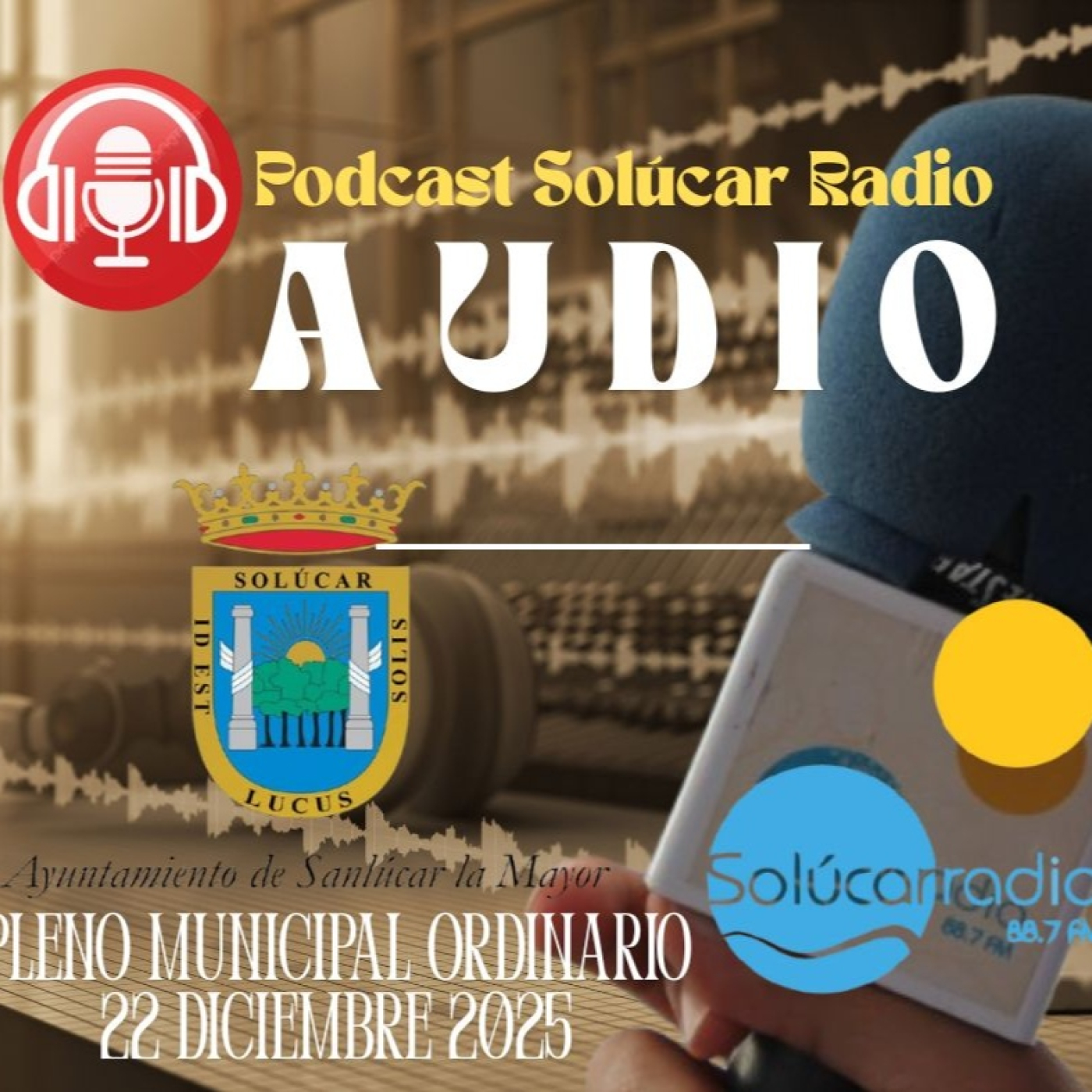AUDIO COMPLETO PLENO MUNICIPAL ORDINARIO 22 Diciembre 2025 episode artwork