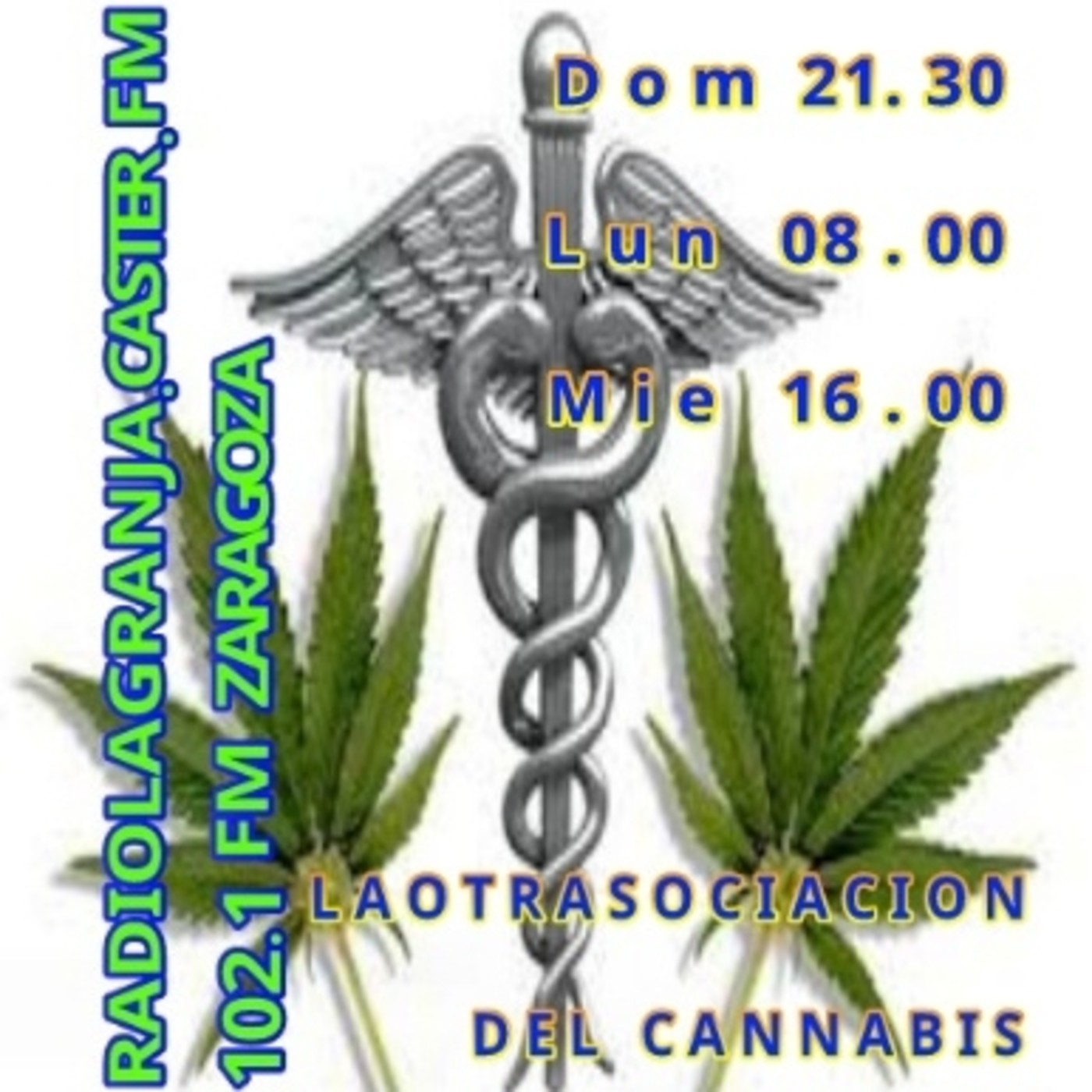La Marihuana medicinal y la ministra de la Mujer en Lunes de Mina episode artwork