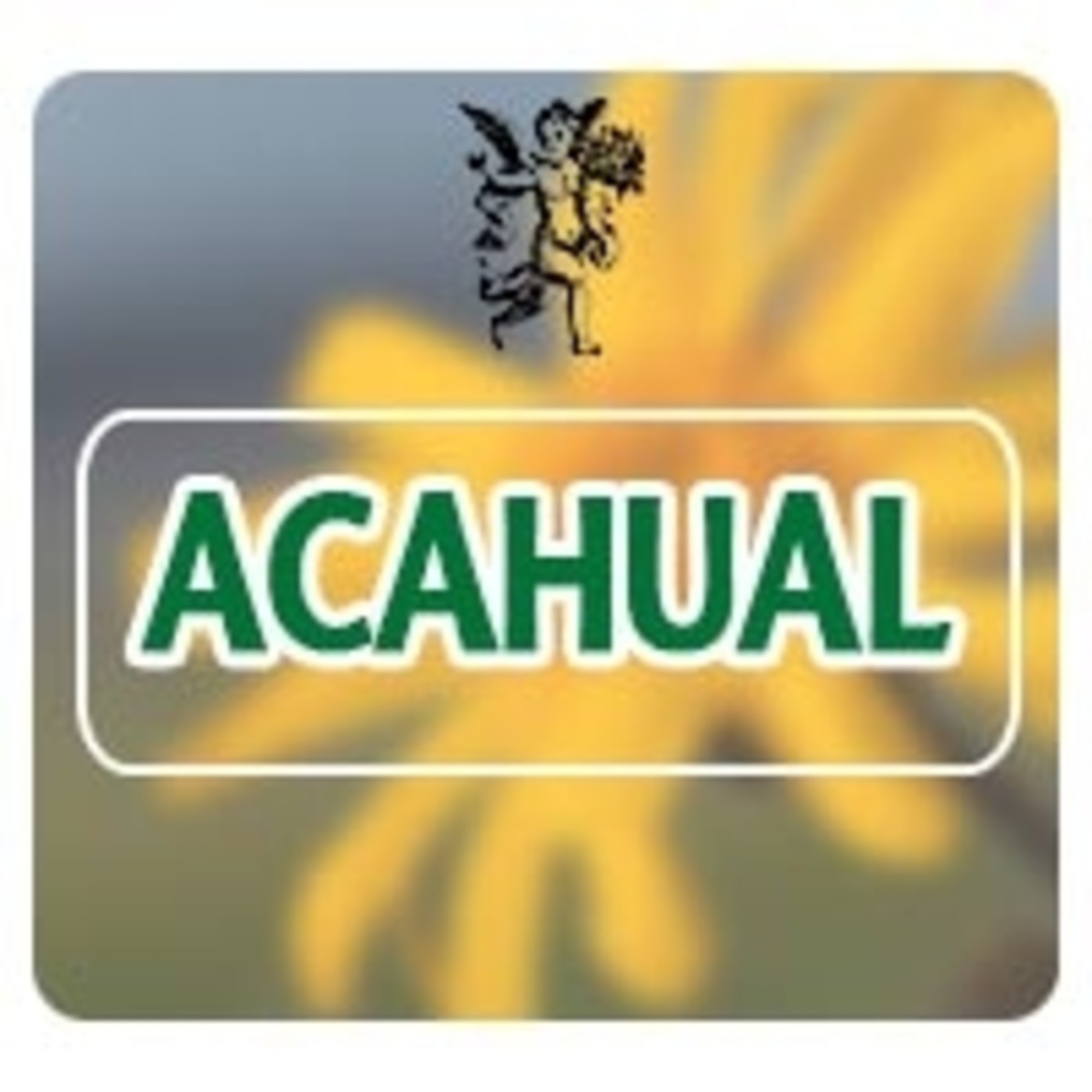 El Angel de tu Salud - ACAHUAL* episode artwork