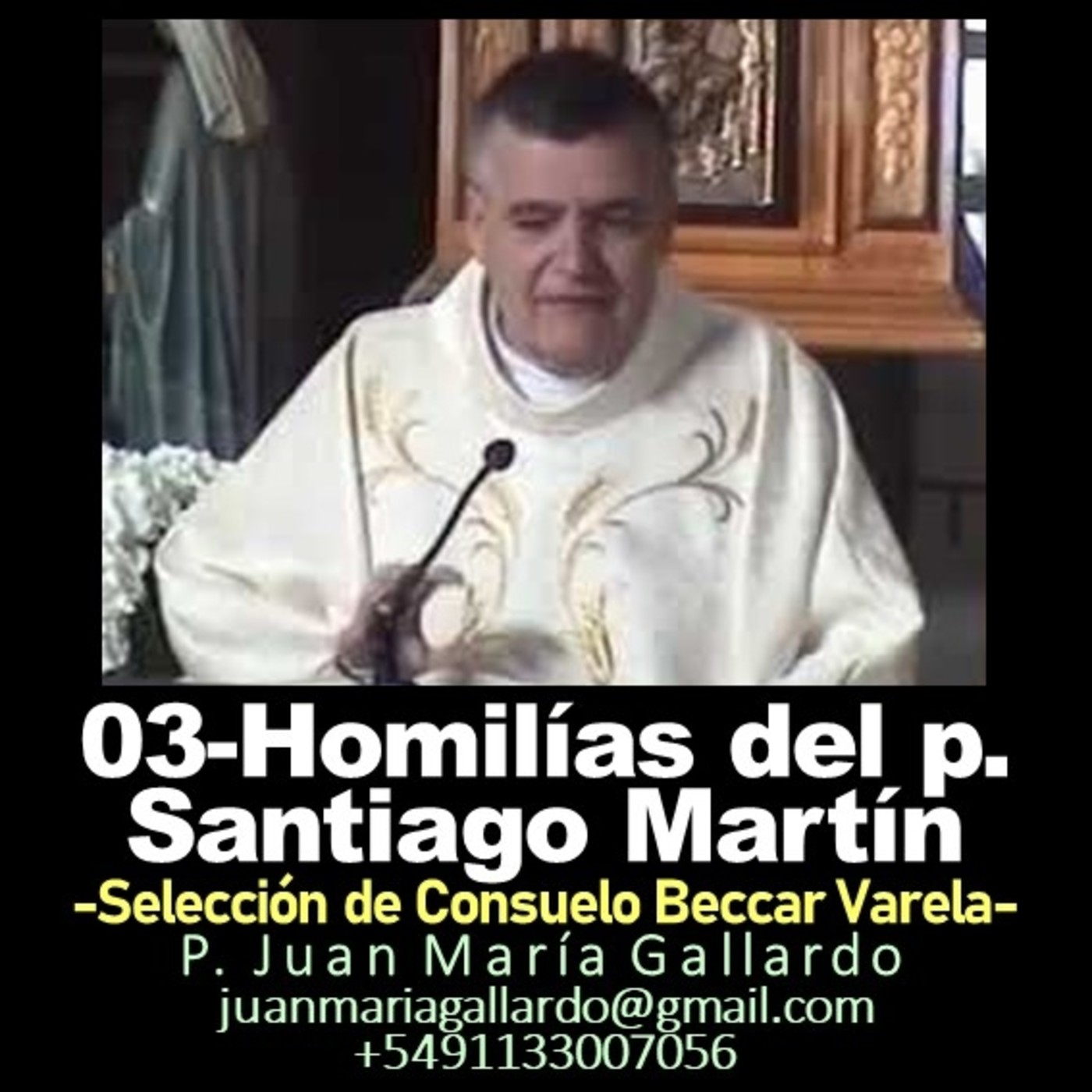 Juan María Gallardo 24C: H03-Homilías del p. San