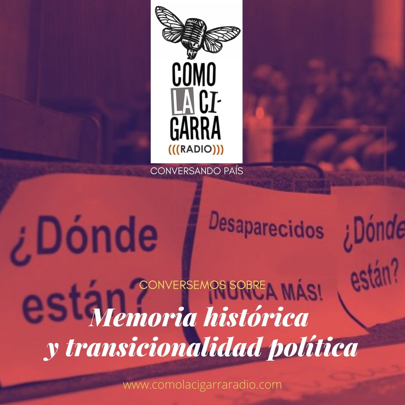 CONVERSANDO PAÍS | Como la cigarra... Radio