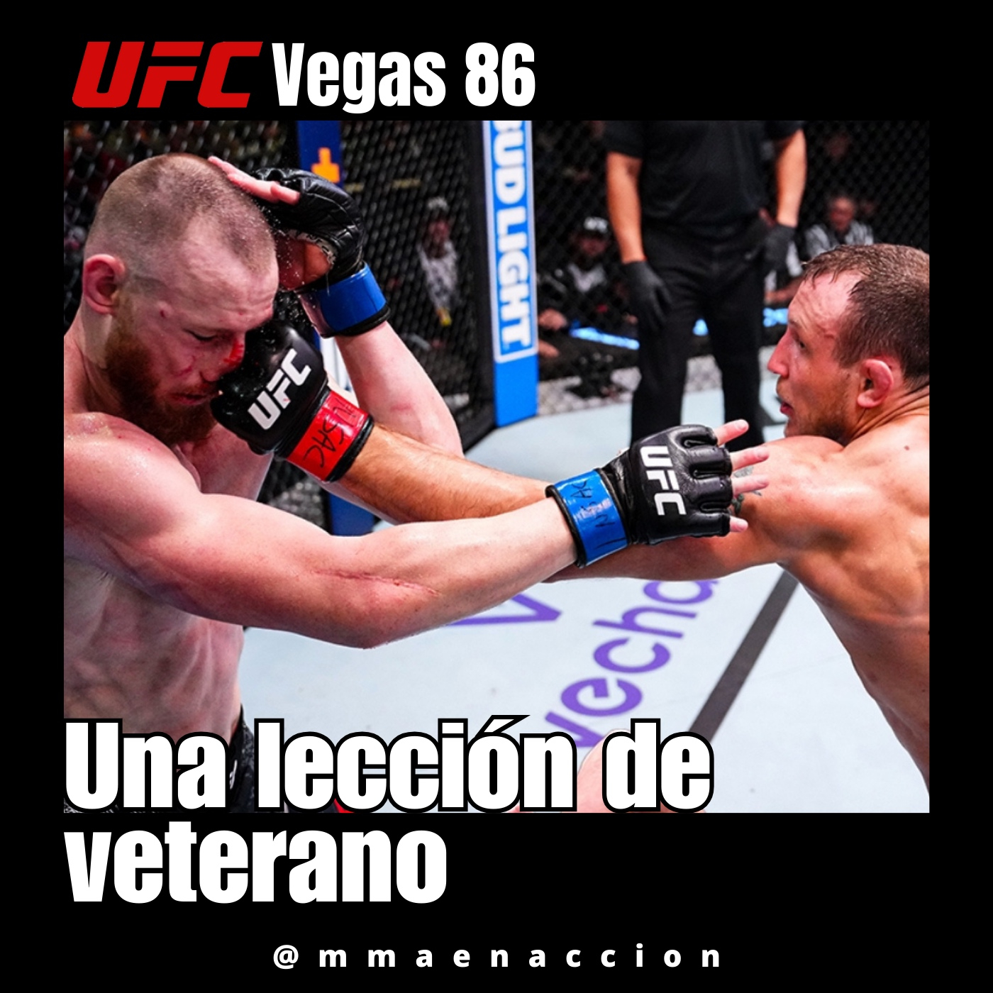 MMA en acción