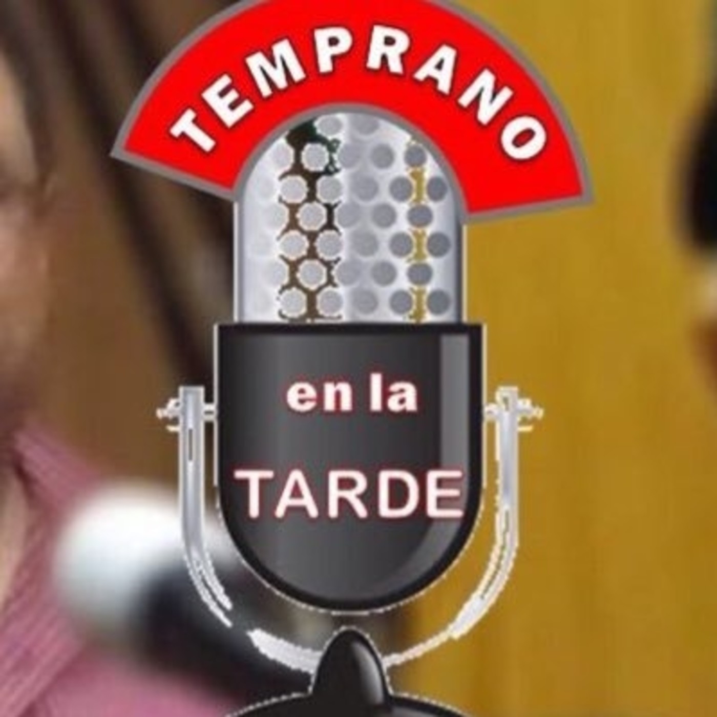 Sobre el idiota que dice que gobierna episode artwork