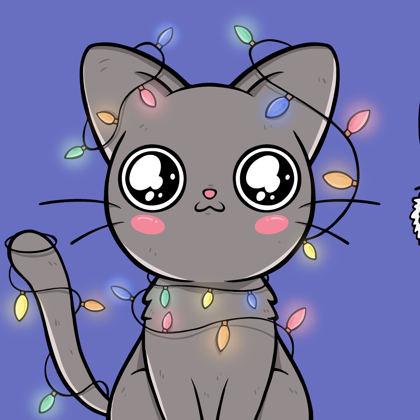 Entre Gatos, Conviviendo con Felinos