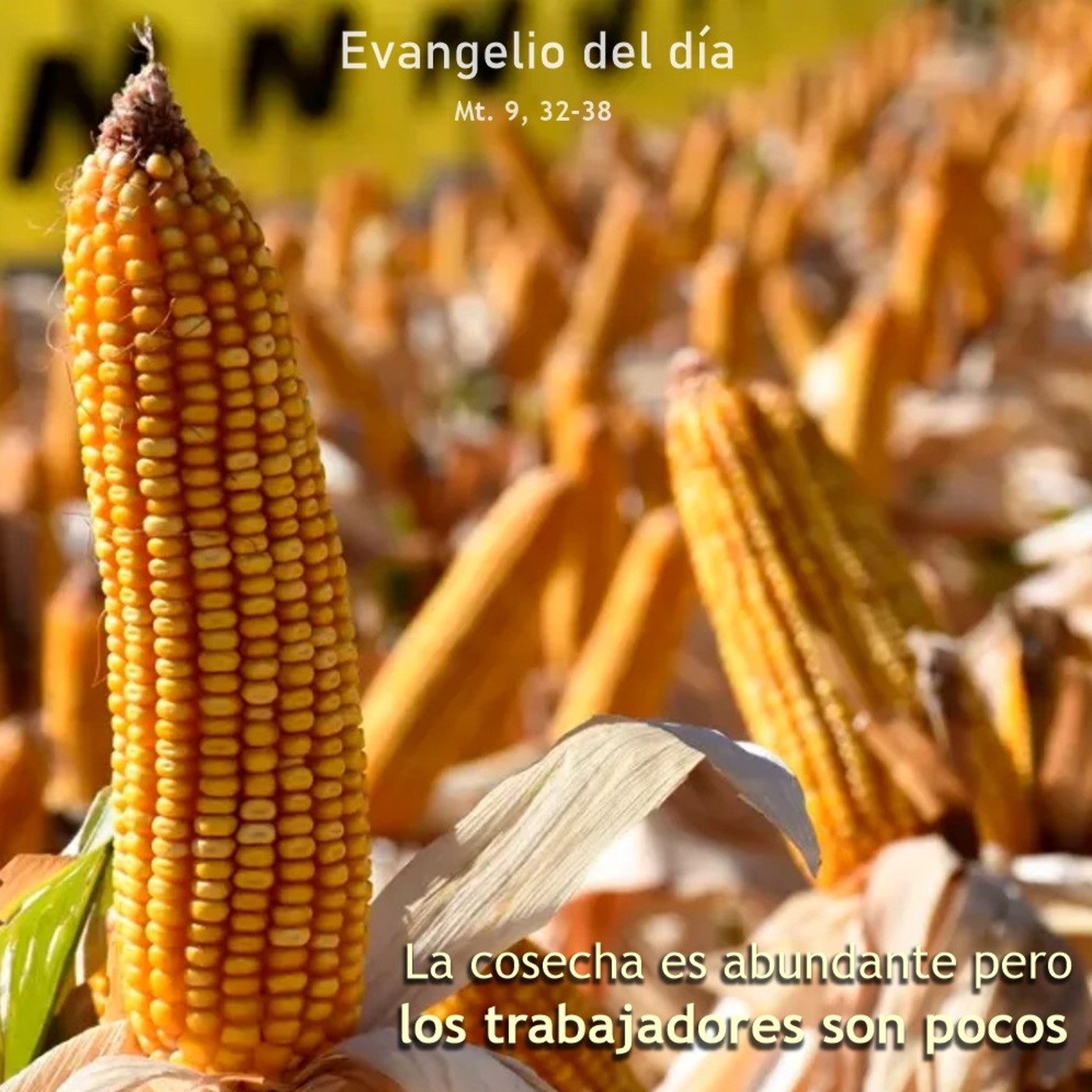 7 de julio de 2020
