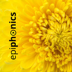 epiphonics: amarillo