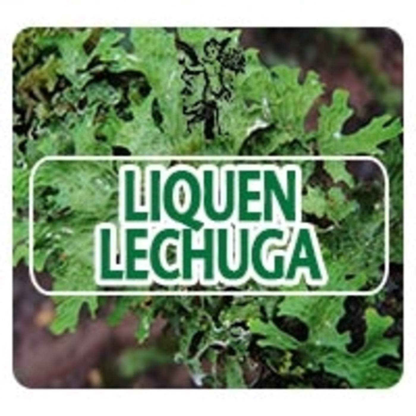 El Ángel de tu Salud - LIQUEN LECHUGA* episode artwork