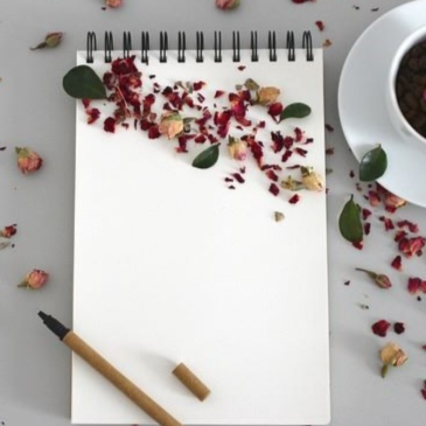 Sobre la hoja caminando