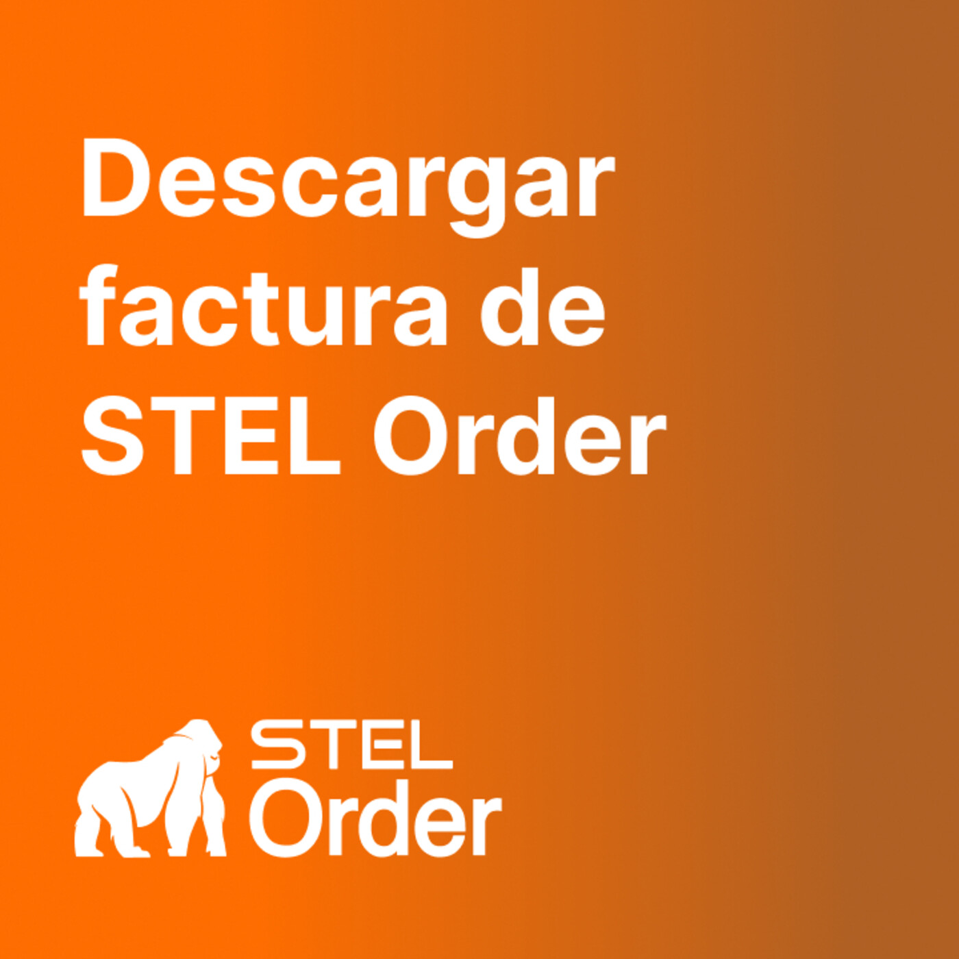 Ayuda y Soporte STEL Order