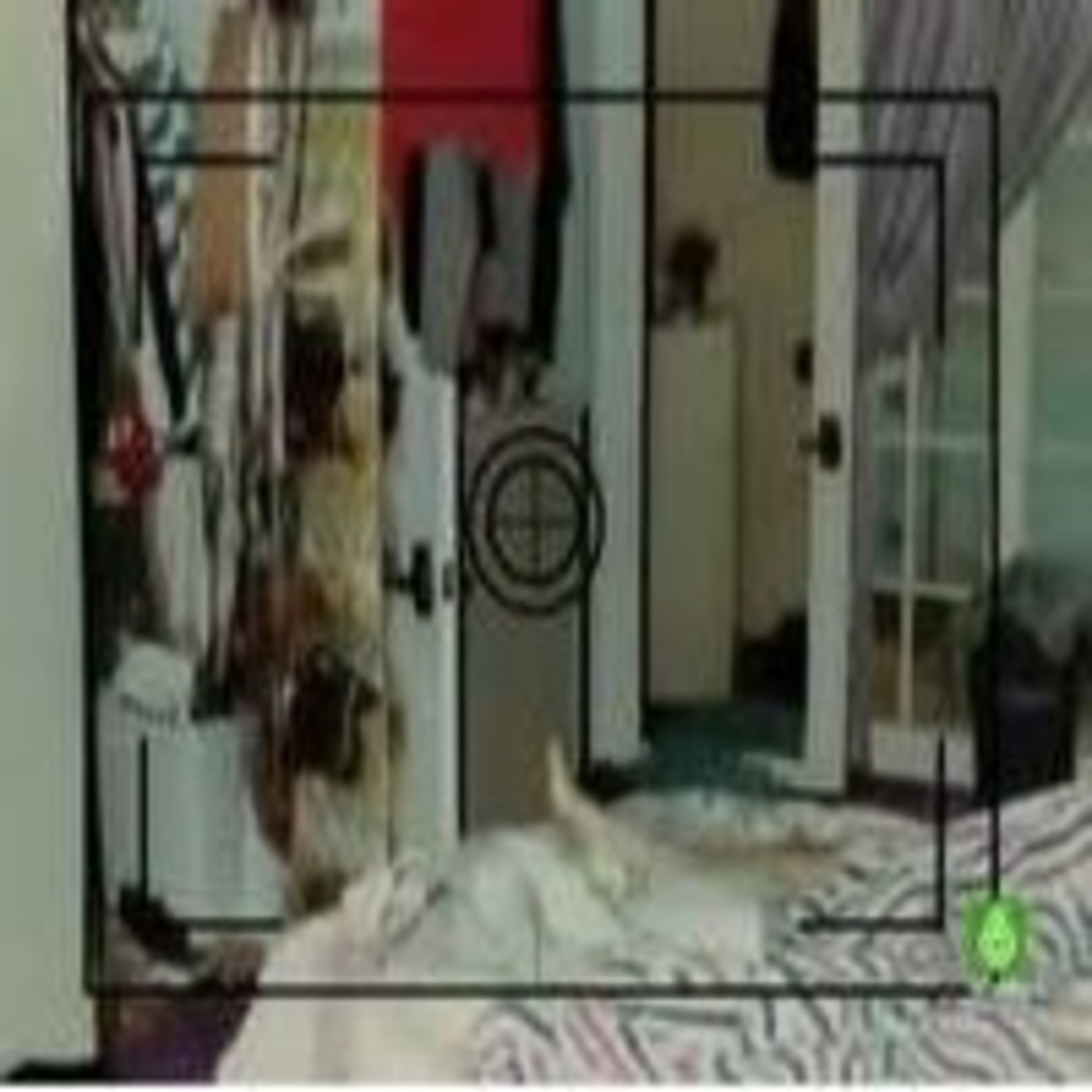 Forenses de Los Ángeles (2ª Temp. - Cap.2): Pistas falsas