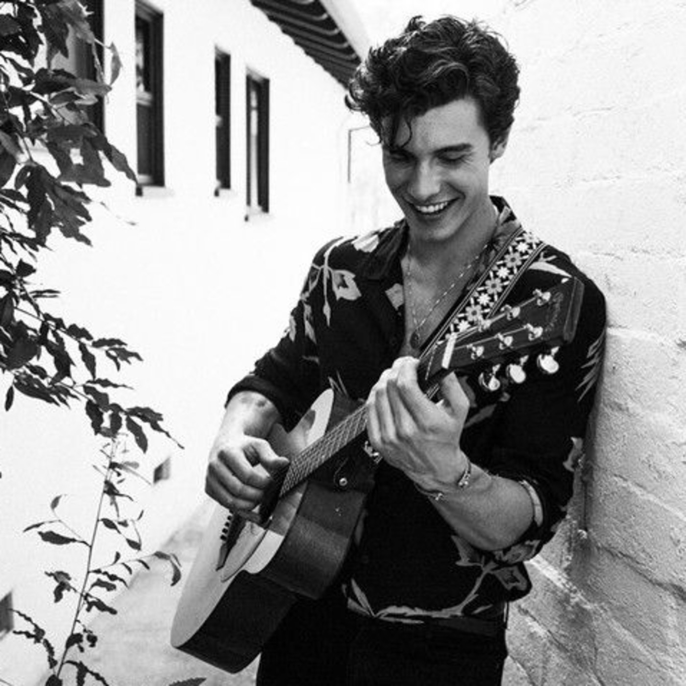 here-shawn mendes episode artwork