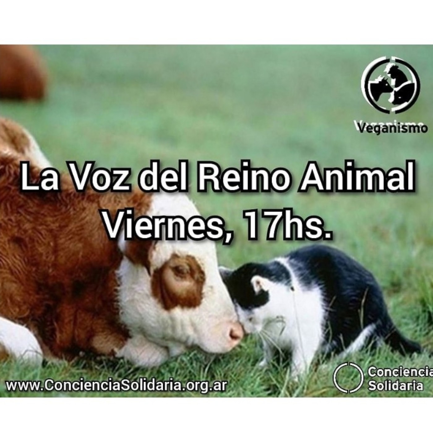 #LaVozDelReinoAnimal 29.11.19 episode artwork