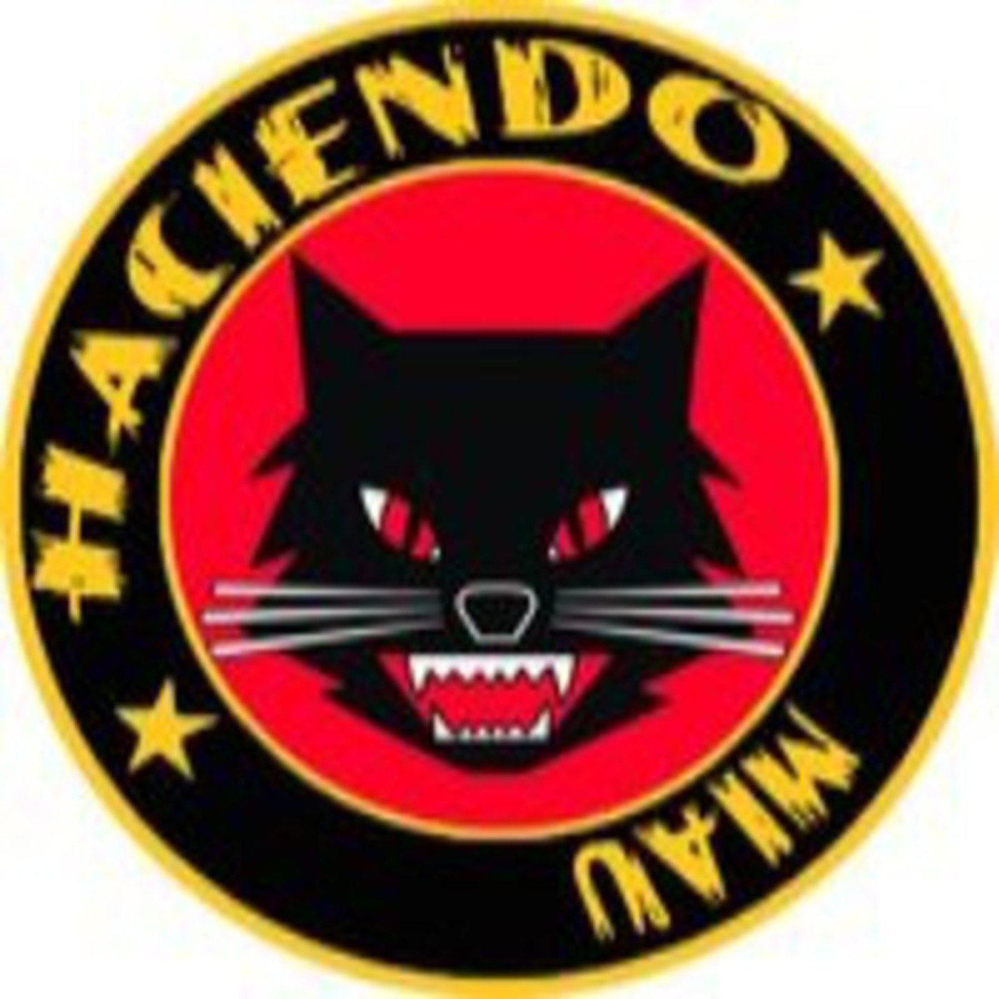 Haciendo Ruido