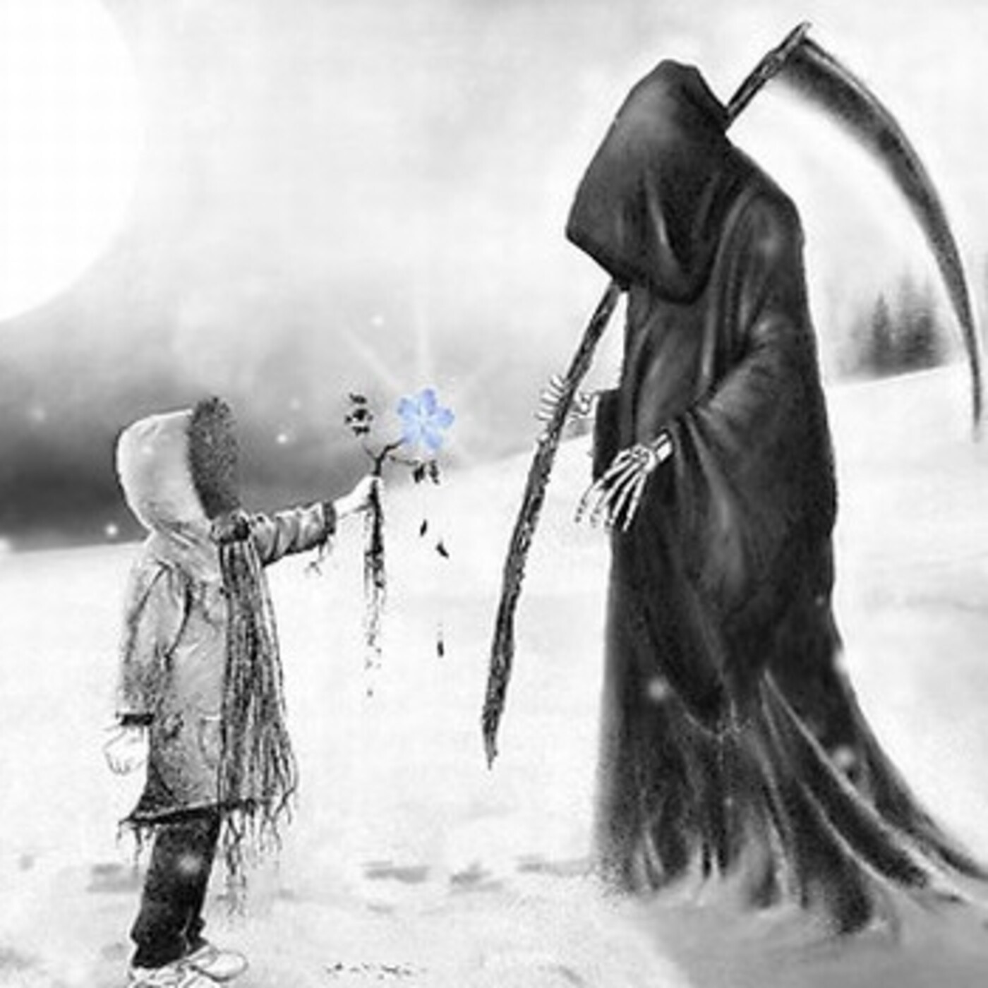Cuentos Que Te Acarician
