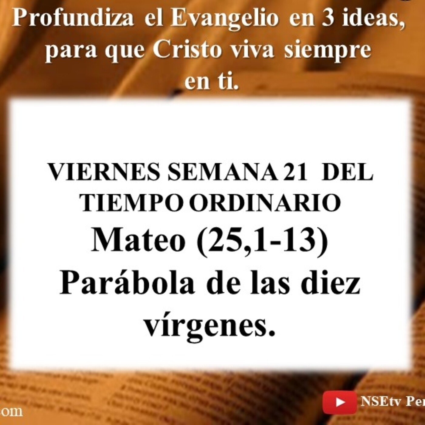 PARÁBOLA DE LAS DIEZ VÍRGENES Mateo (25,1-13) episode artwork