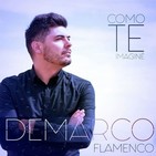 Demarco flamenco