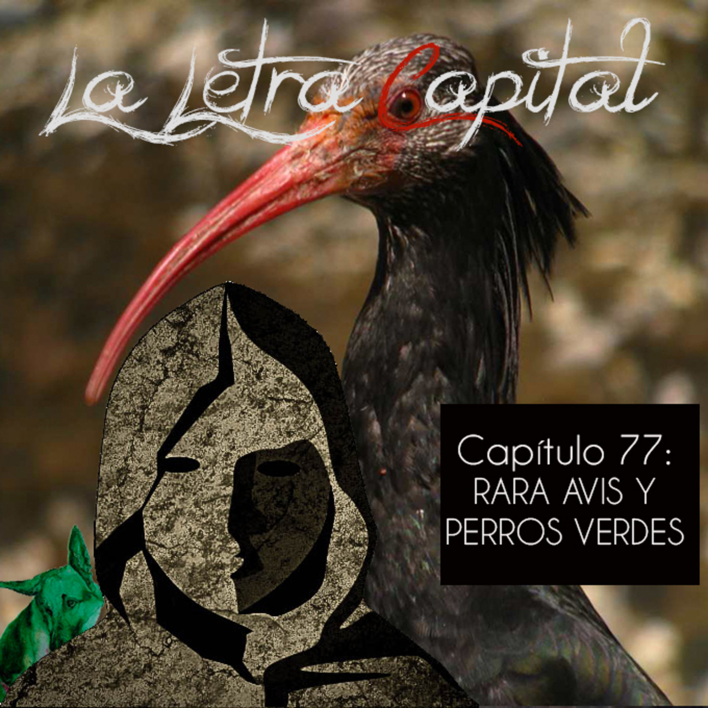 laletracapital podcast