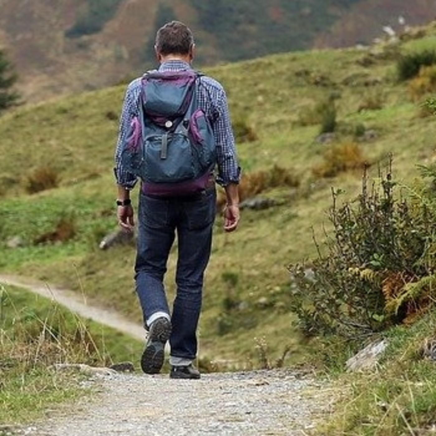 CAMINOS NATURALES
