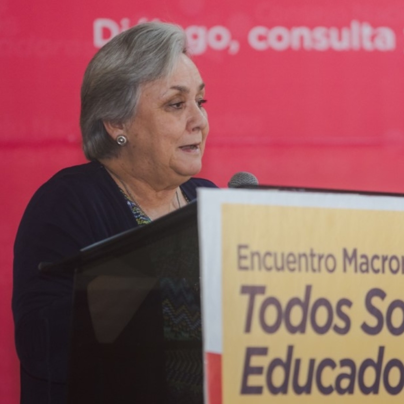 Movilización del Proyecto Educativo Nacional