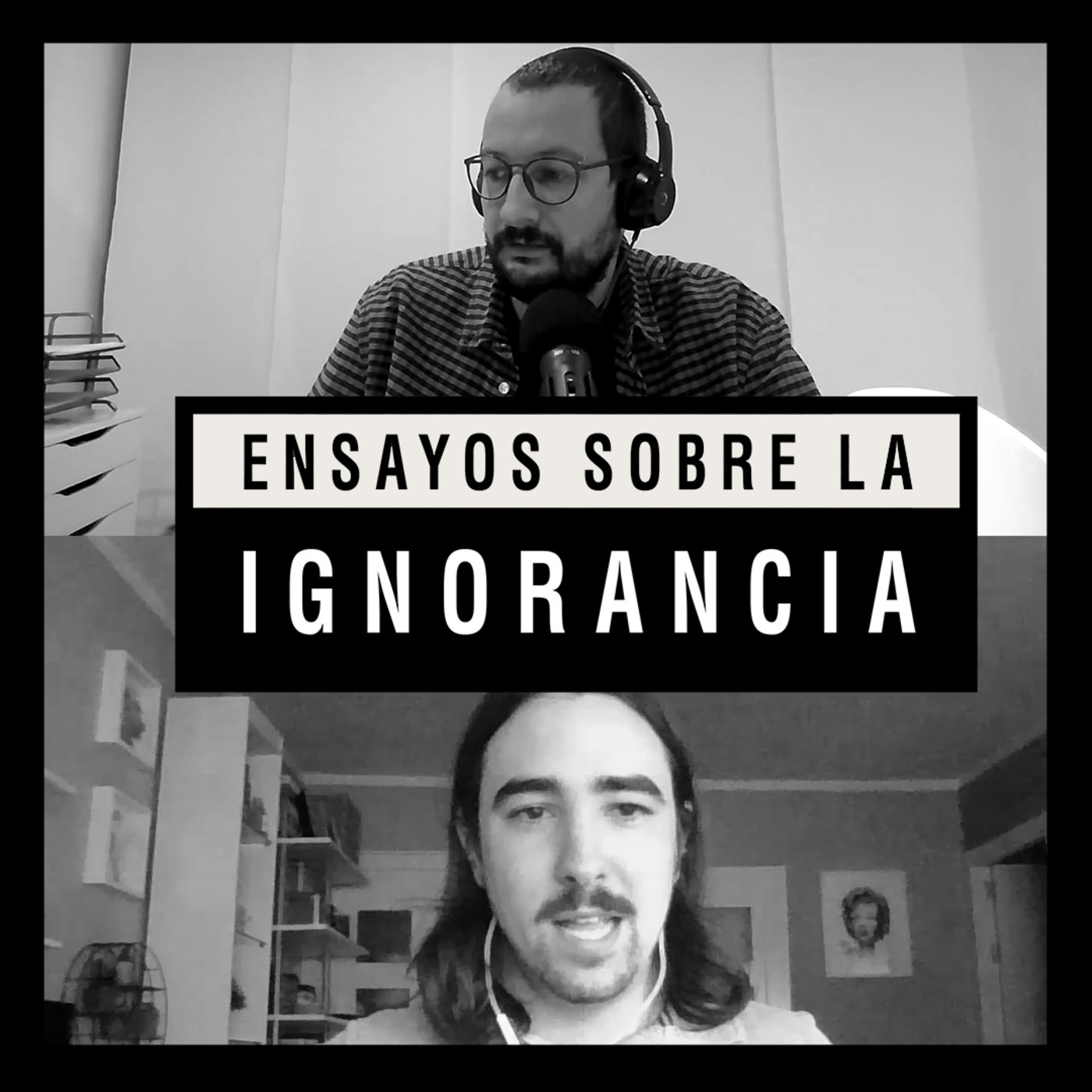 Ensayos sobre la ignorancia