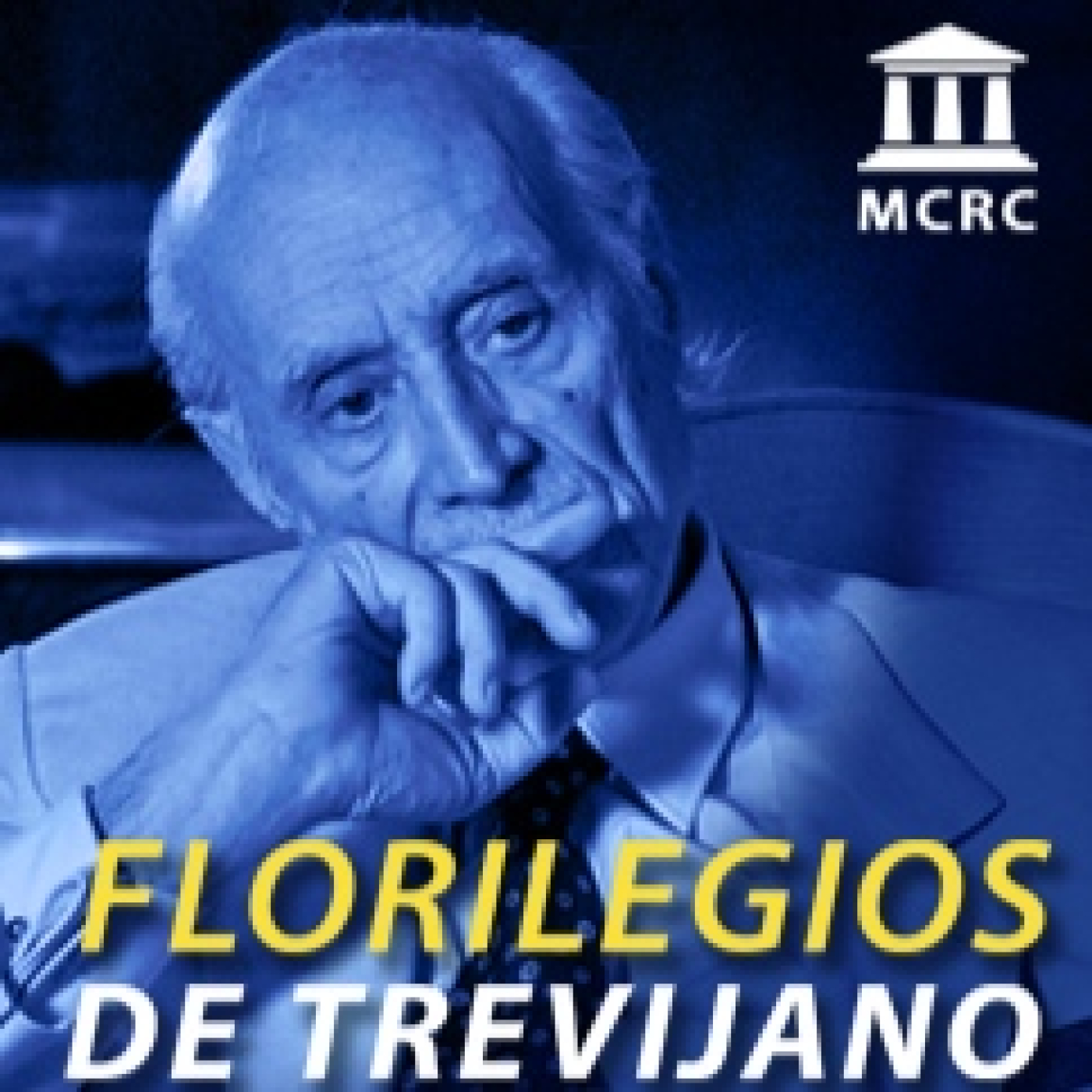 Radio Libertad Constituyente