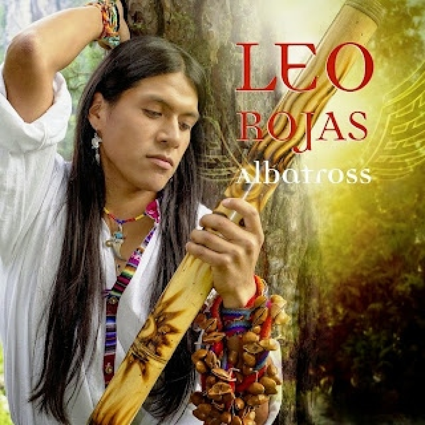 Albatross (Leo Rojas)