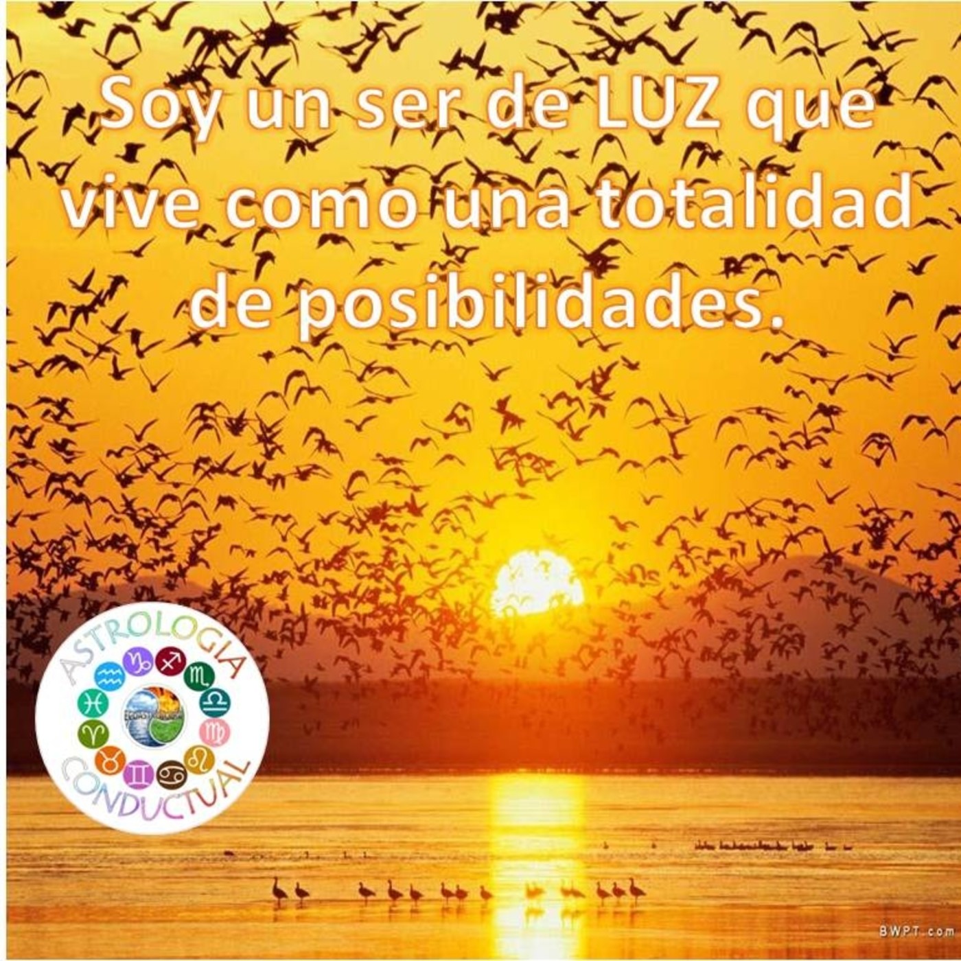 10 ESTRATEGIAS ASTROLOGIA CONDUCTUAL