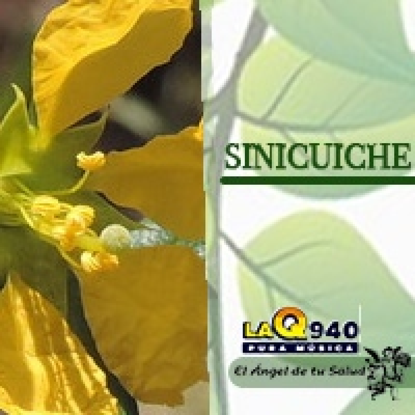 El Ángel de tu Salud - Sinicuiche** episode artwork