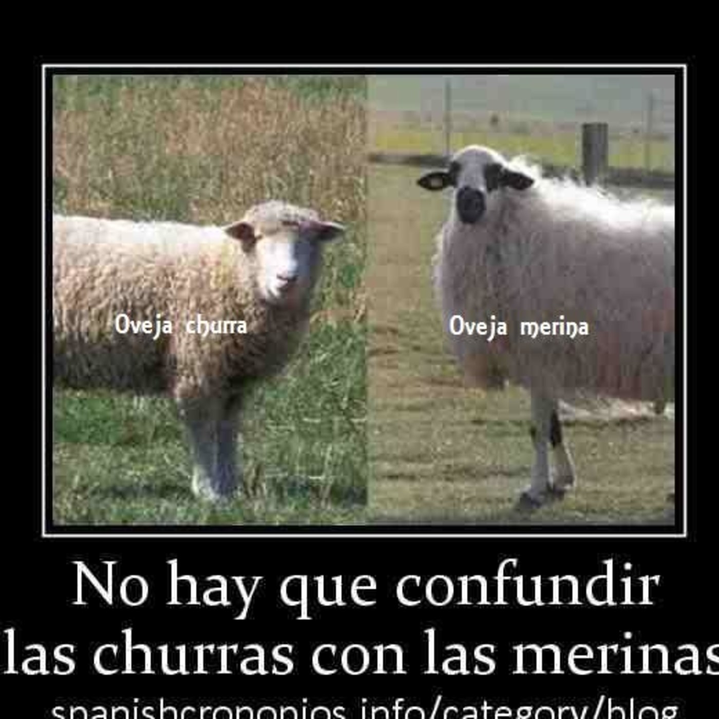 REAL COMO LA VIDA MISMA