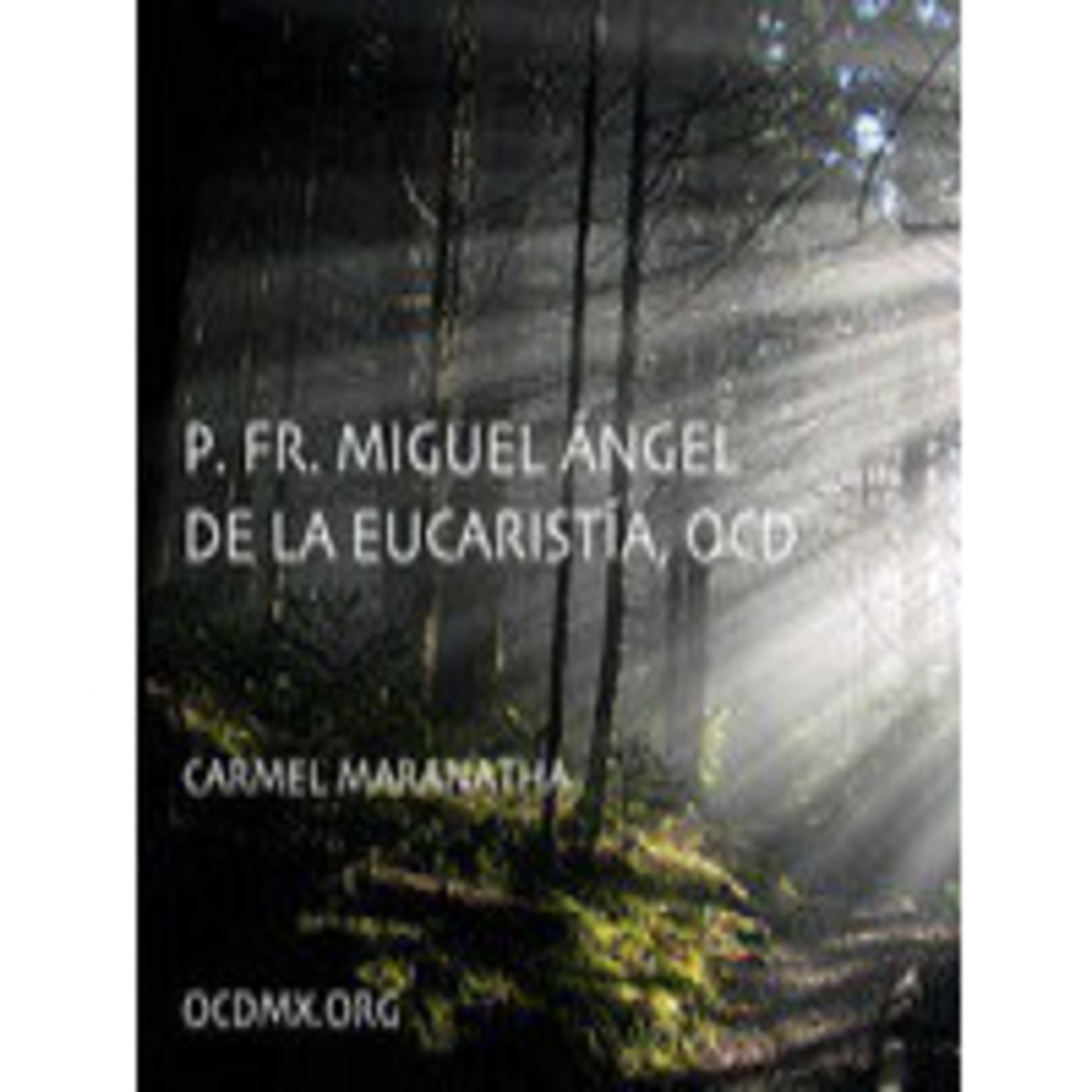 0701 Transfiguracion 1 episode artwork