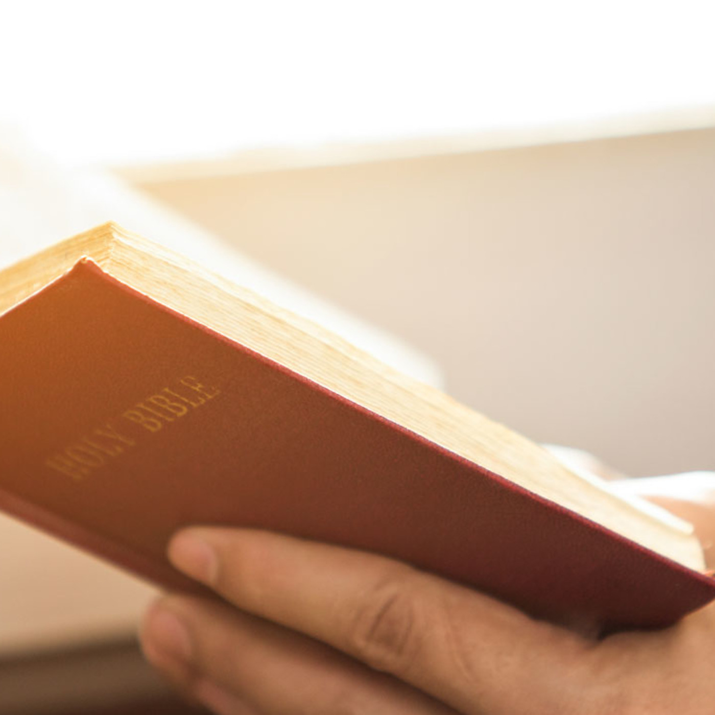 Cápsulas de la Biblia