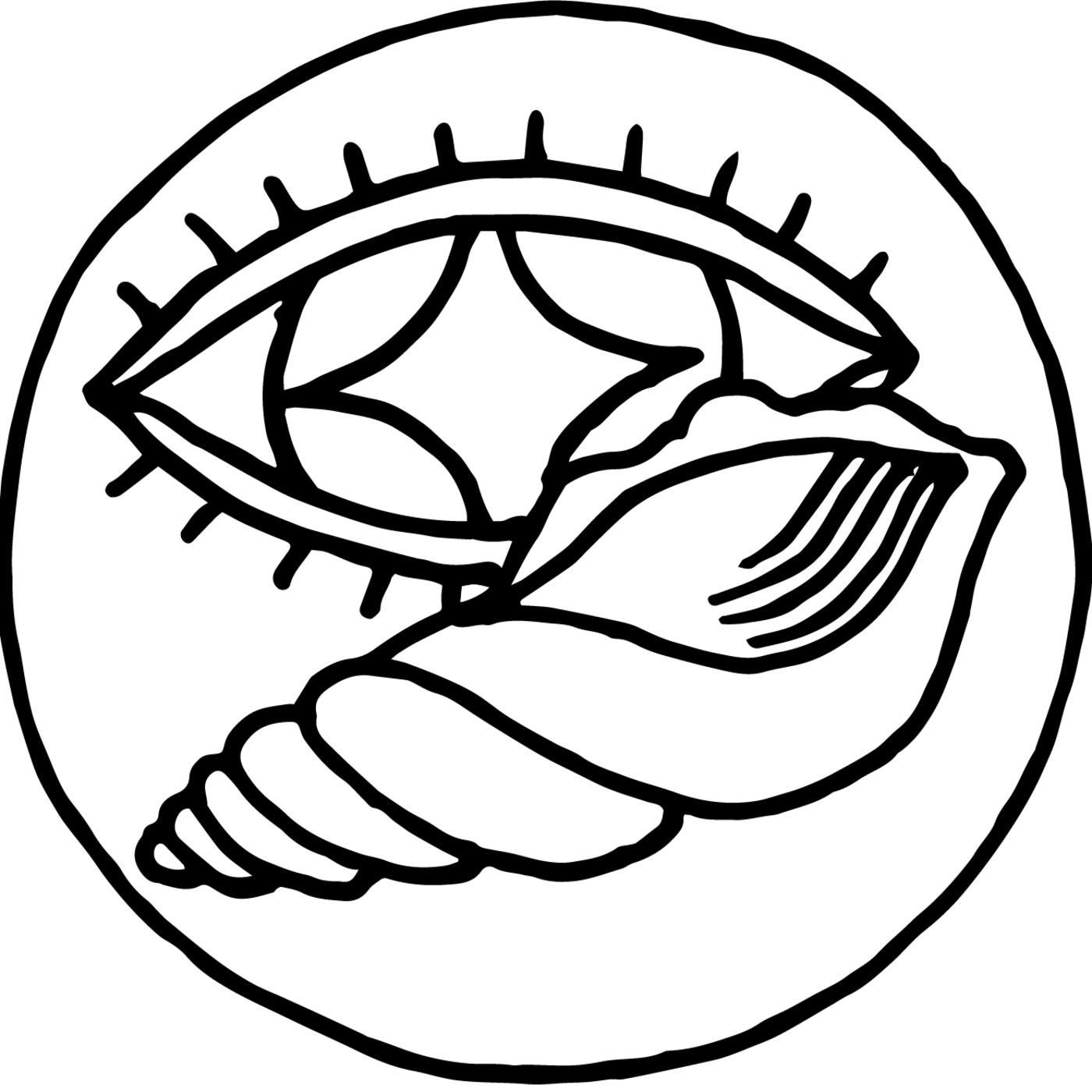 ¿Qué es ser Chaski?