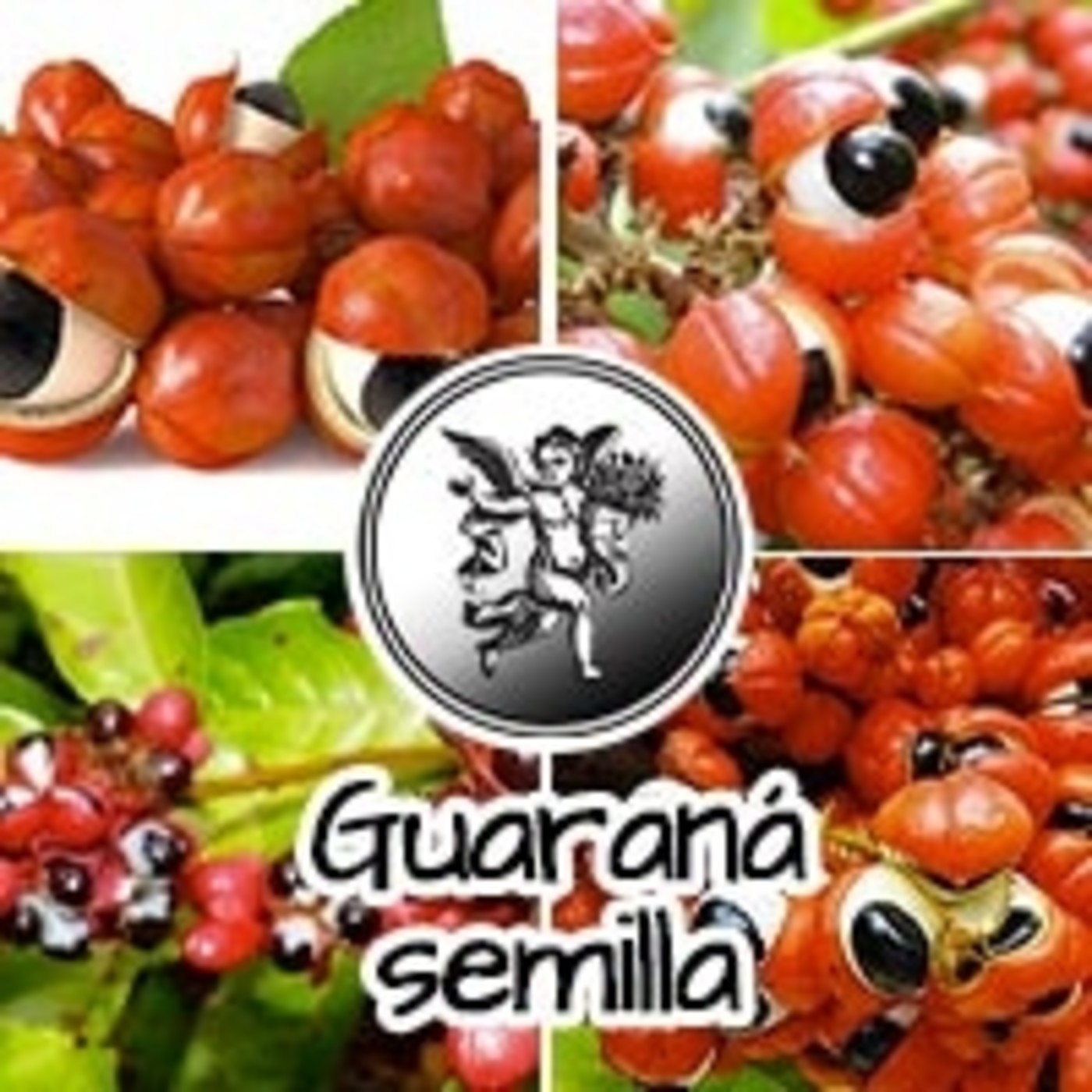 El Ángel de tu Salud - GUARANÁ SEMILLA episode artwork