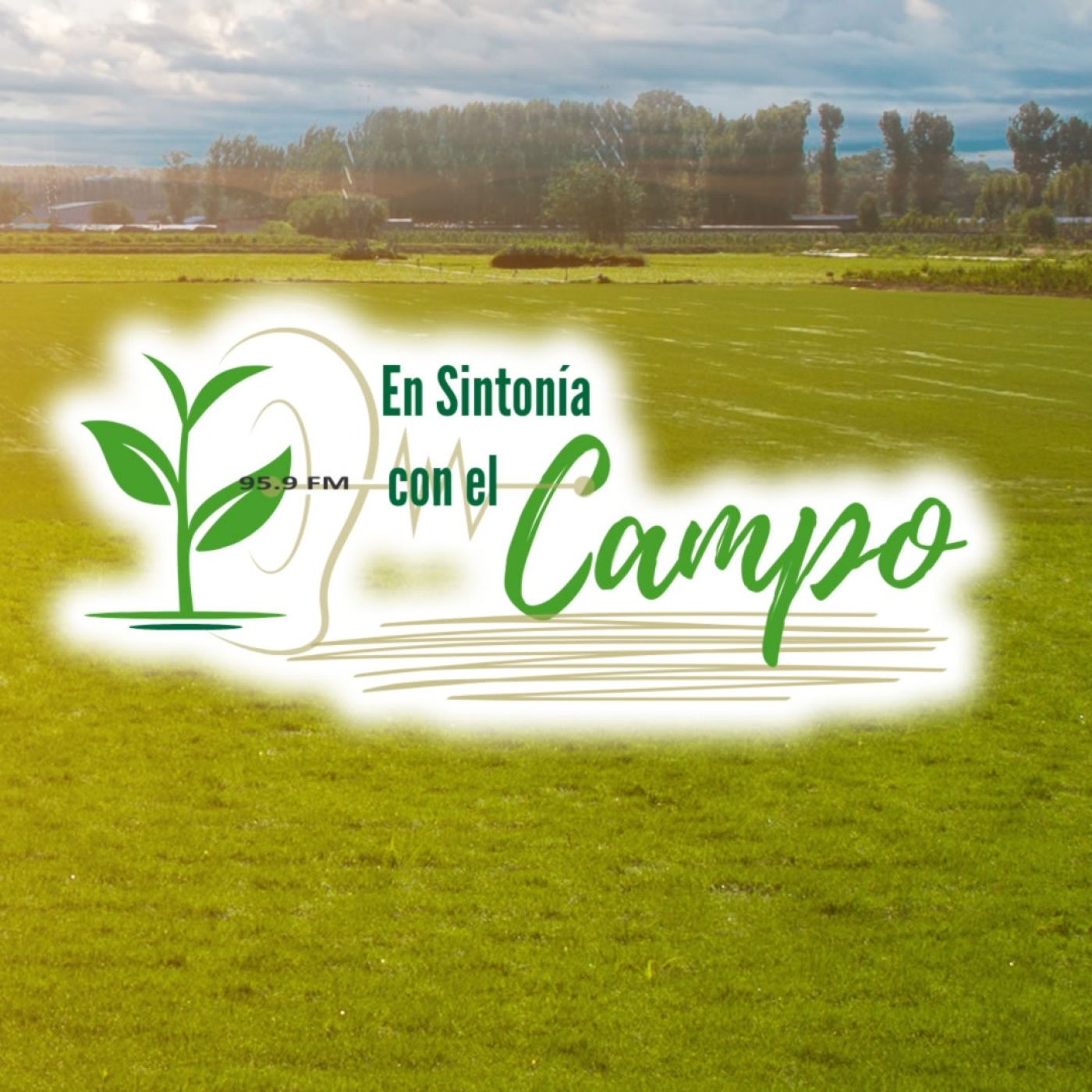En Sintonía con el Campo - 29 de diciembre de 2024 episode artwork