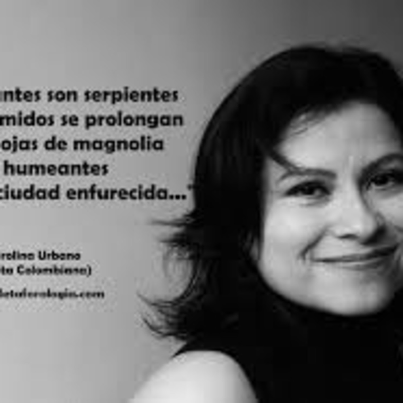 ENTRELÍNEAS, PÁGINAS EN BREVE.