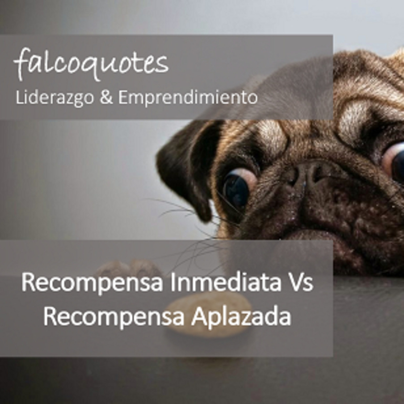 Falcoquotes: Emprendimiento Y Liderazgo