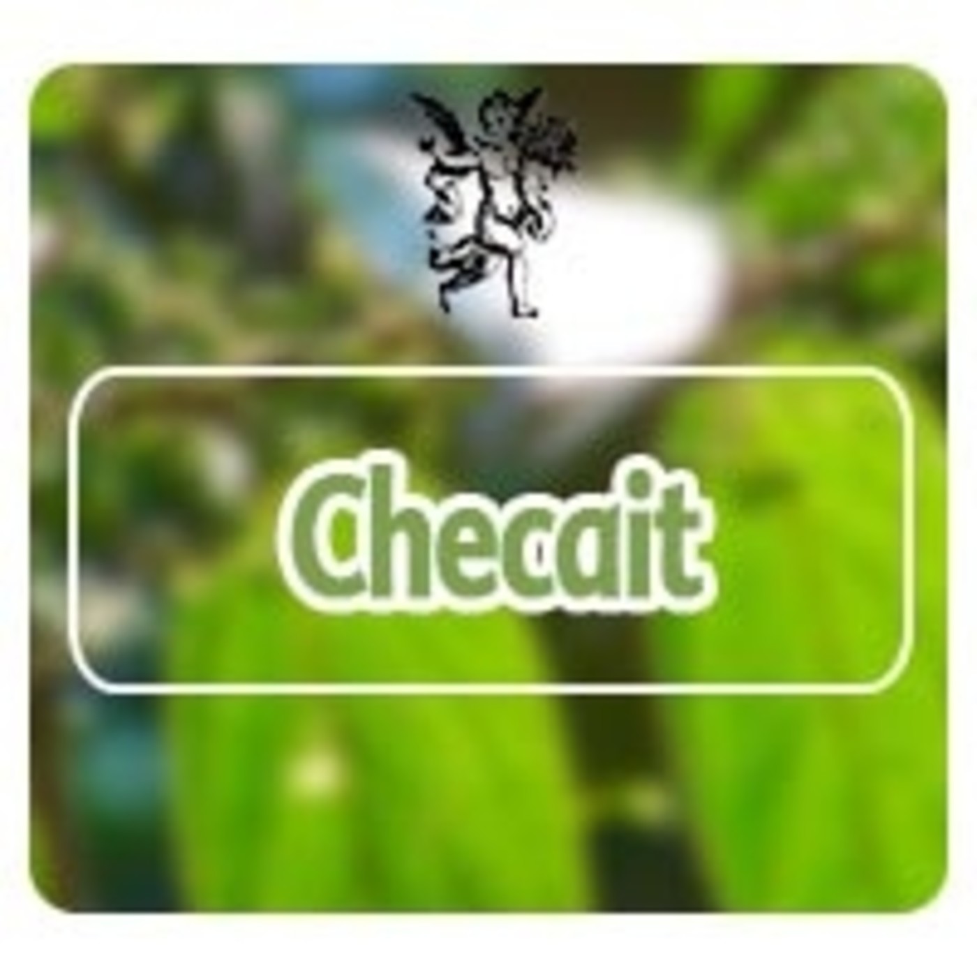 El Angel de tu Salud - CHECAIT* episode artwork