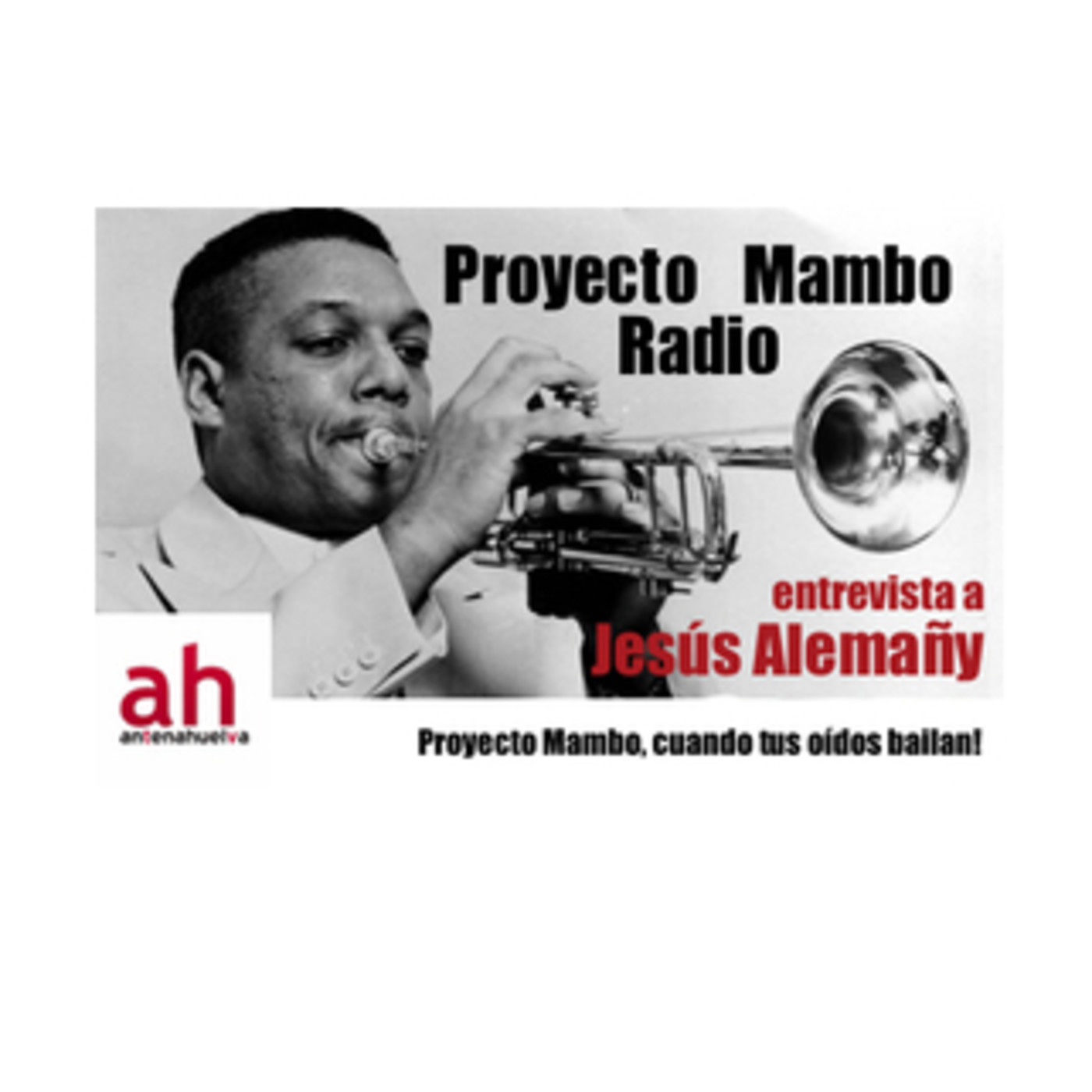 Proyecto Mambo