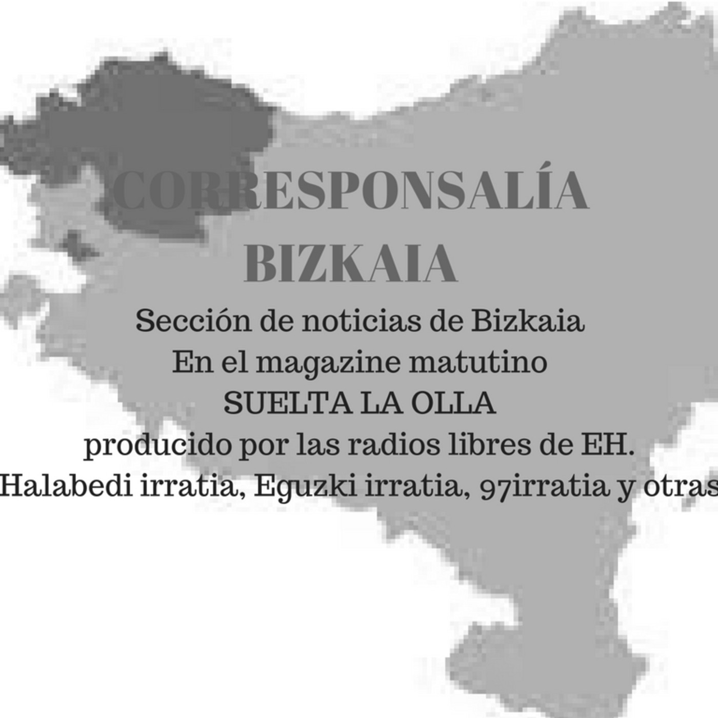 corresponsalía bizkaia