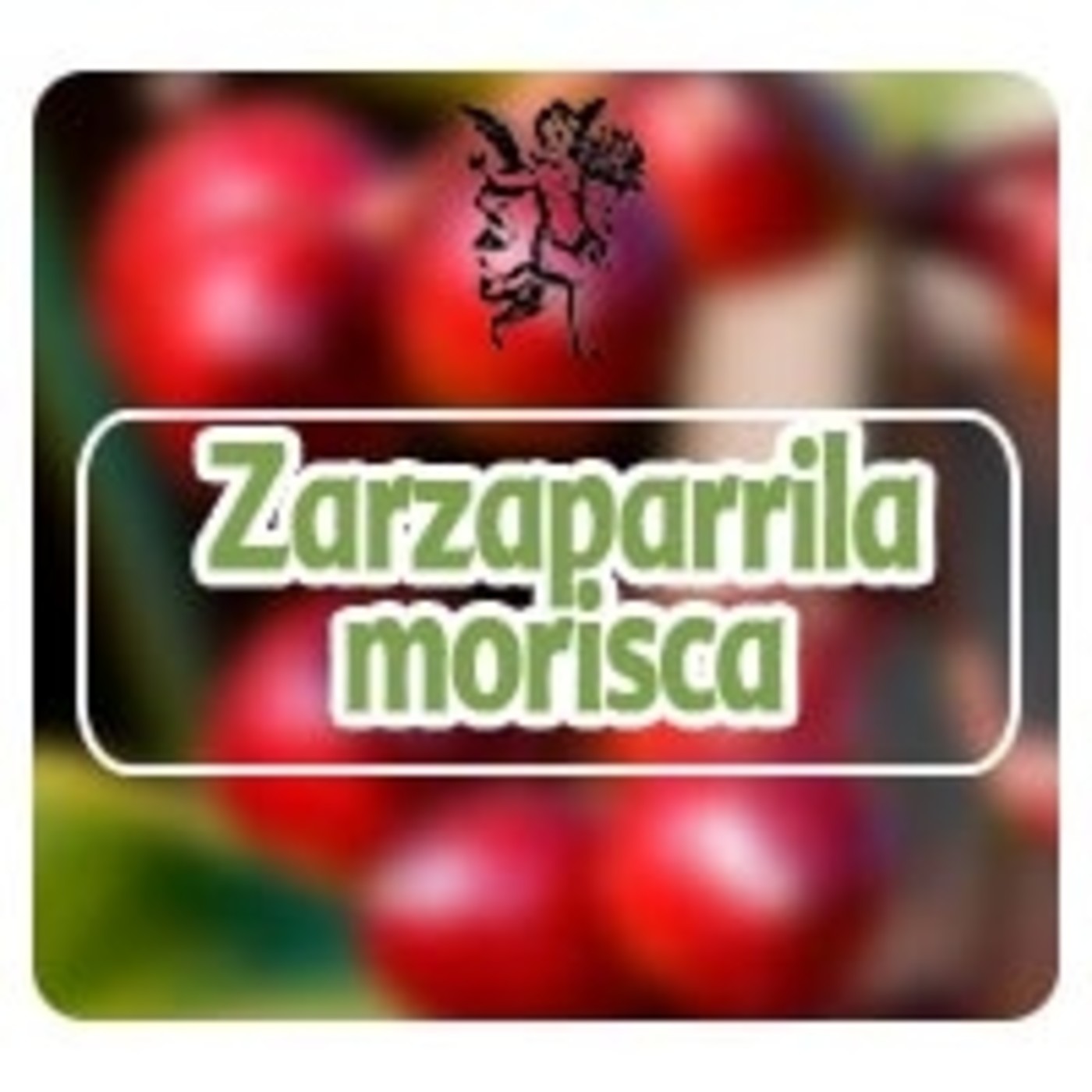 El Angel de tu Salud - ZARAZAPARRILLA MORISCA episode artwork